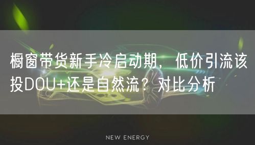 橱窗带货新手冷启动期,低价引流该投DOU+还是自然流?对比分析
