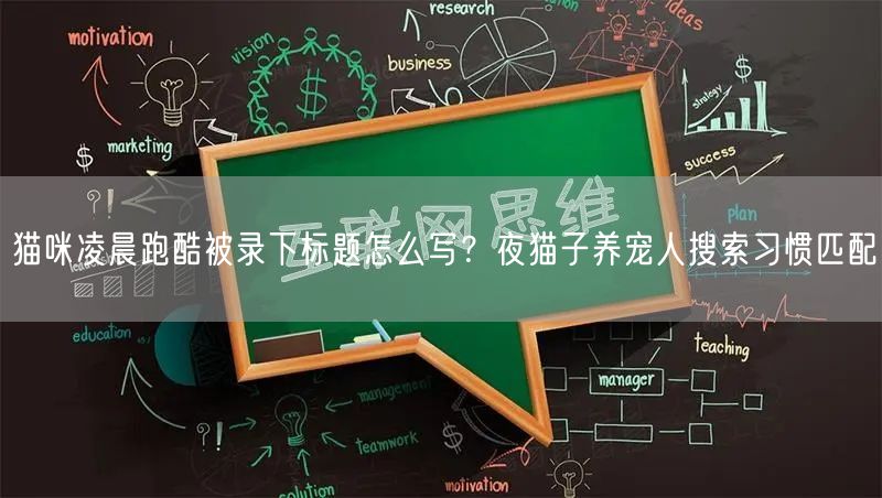猫咪凌晨跑酷被录下标题怎么写？夜猫子养宠人搜索习惯匹配