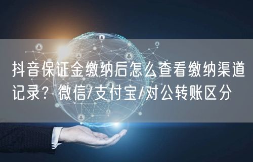 抖音保证金缴纳后怎么查看缴纳渠道记录？微信/支付宝/对公转账区分