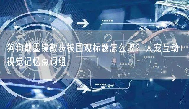 狗狗戴墨镜散步被围观标题怎么取?人宠互动+视觉记忆点词组