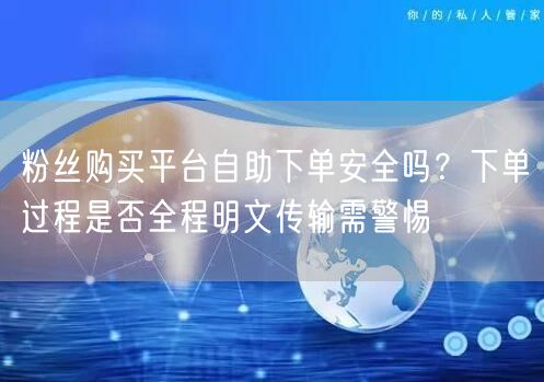 粉丝购买平台自助下单安全吗?下单过程是否全程明文传输需警惕