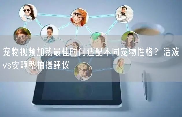宠物视频加热最佳时间适配不同宠物性格?活泼vs安静型拍摄建议
