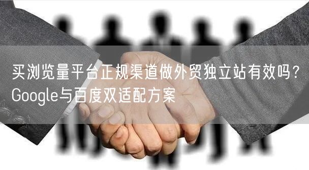 买浏览量平台正规渠道做外贸独立站有效吗?Google与百度双适配方案