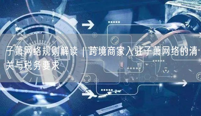子萧网络规则解读|跨境商家入驻子萧网络的清关与税务要求